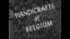 HANDICRAFTS OF BELGIUM 1940s EDUCATIONAL FILM BRUGES LEIGE WOODEN SHOES GLASSWORK 88414