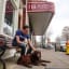 A Dog Friendly visit to Franklin, Tennessee - Travel To Blank Walking Guide