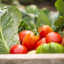 Why You Should Eat Organic? - Health News Tips | Healthy Lifestyle