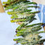 Quick Asparagus Fries - Homemade on a Weeknight