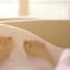 3 Benefits of Sleeping Naked