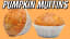 Honey Oat Pumpkin Muffin Recipe | ZERO WASTE | Healthy Whole Wheat | Low Sugar | Guilt-Free Snack