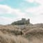 Visiting The Beautiful Bamburgh Castle And Farne Islands, England