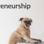 20 Types of Entrepreneurship (With Examples)