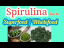 Health benefits of Spirulina ( Superfood/Wholefood)