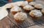 Chocolate Chip Pumpkin Muffins with Streusel Topping