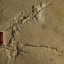 History of Human Evolution Is Wrong By The Discovery Of 5.7 Million Yr-Old Footprints Fossil