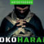 Boko Haram strives to establish Islamic State / Cyber Caliphate in Nigeria