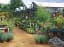 The 10 Best Garden World Centers and Nurseries in Delaware!