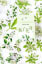 Lovely Planner Paper Label Sticker Box - Flower Gardenia