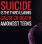Suicide.....The Not So Silent Killer