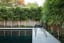 This one - perfect! DDB DESIGN Exteriors & Pools - contemporary - pool - melbourne - DDB Design De… | Pool landscaping plants, Privacy landscaping, Pool landscaping