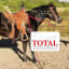 Complete Horse Supplement - Total Supplements Equine
