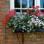 How to Plant in Window Flower Boxes : A Step-by-Step Guide - KUKUN
