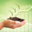Investing for Retirement? Consider Socially Responsible Investing