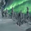 Aurora Borealis in a Finnish winter wonderland