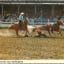 Bull Dogging Cheyene Frontier Days Rodeo CO