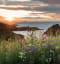 Sunset at the end of the John Muir Way, by Dunbar, Scotland. (Image - Sheila Sim).