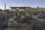 A Sustainable, Modern Home Frames a Prickly Desert Landscape
