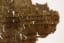 Hides that reveal: DNA helps scholars divine Dead Sea Scrolls