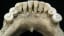 A skeleton's blue teeth represent a 'bombshell' discovery for women's history