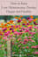 How to Keep Low-Maintenance Zinnias Happy and Healthy