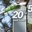 GreenWorks 20352 24V 8-Inch Cordless Pole Saw