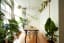 Lush, Plant-Filled Dwellings That Pay Homage to Home Horticulture