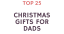 Top 25 Christmas Gifts for Dads