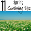 Spring Gardening Tips To Help You Get Started