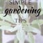 14 Simple Gardening Tips