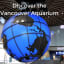 What to see and do at The Vancouver Aquarium