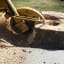 Undeniable Advantages of Getting Tree Surgeons for Stump Grinding