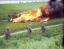 Three British soldiers march past the burning wreckage of a shot-down French Potez 630 reconnaissance aircraft near Braine-le-Comte, Belgium, 16 May 1940. [Colorized]