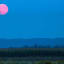 The First Full Day of Fall Will End With a Spectacular Harvest Moon (Video)