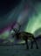 Reindeer under the aurora borealis