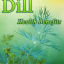 Dill - Health Benefits - Quiet Corner