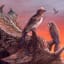 Extinction mystery deepens after discovery of bird fossil from age of dinosaurs