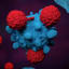 Cancer and obesity: Clogged immune cells help explain link