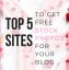 Top 5 Image Sites to get Royalty Free Stock Photos for Your Blog in 2019