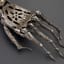 150 Year Old Victorian Prosthetic Hand