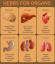 Pin by ANURAG KUMAR on Health | Herbs for health, Natural health remedies, Health remedies
