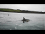 Person Goes Kayaking Amidst Dolphins - 1174411