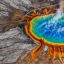 This Really Bizarre Claim About Yellowstone Volcano Will Make Your Head Spin