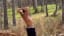 VIDEO: James Conner Chucking Logs Over His Head in the Wilderness is Best Quarantine Workout We've Seen
