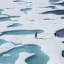 Five years of record warmth intensify Arctic's transformation