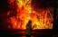 Australian Bushfires, a devastating start to 2020