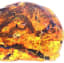 This amber nugget from Myanmar holds the first known baby snake fossil