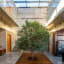 Nature Within: 17 Projects With Indoor Trees