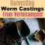 How To Harvest Worm castings From Your Vermicomposting